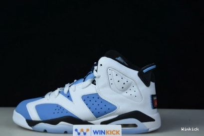 6 JORDAN AIR RETRO CT8529-410 